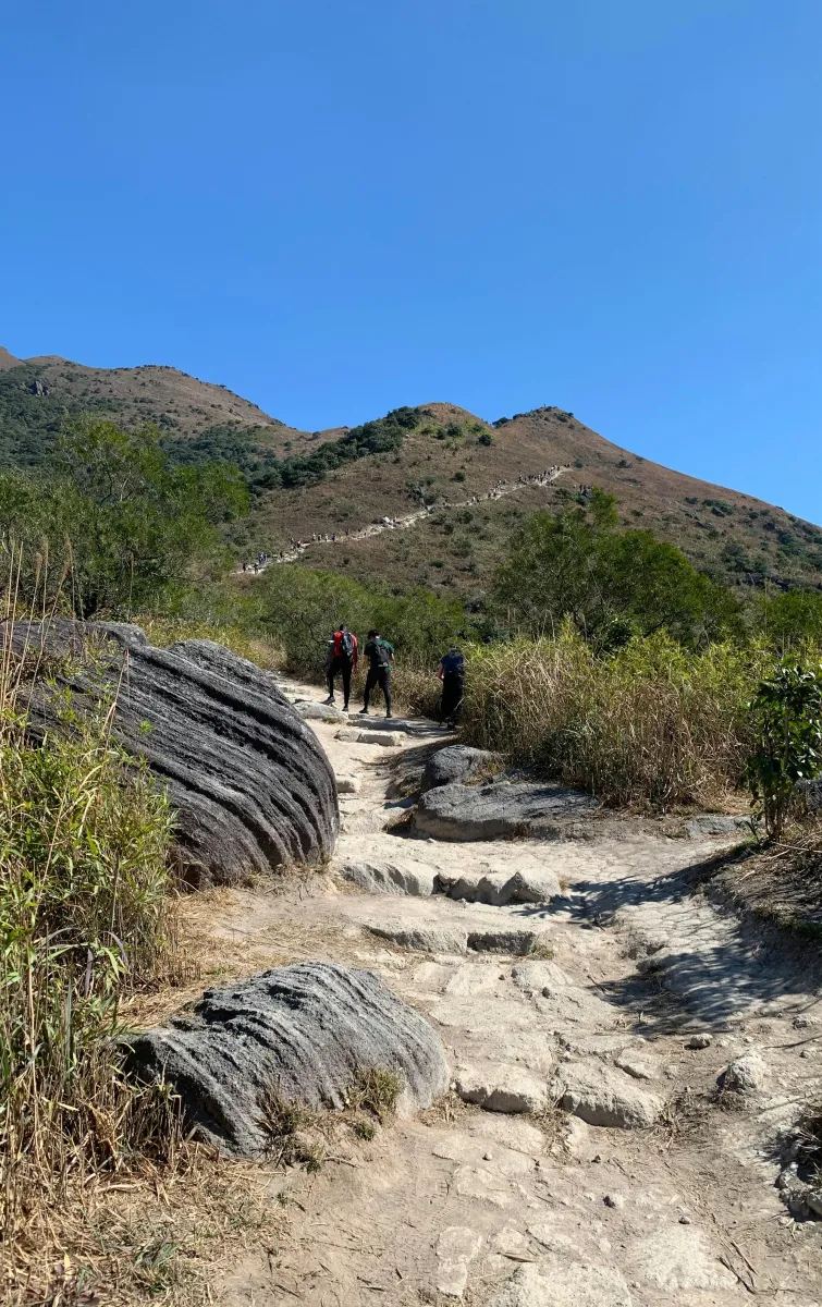 Hiking trail towards the mountains
